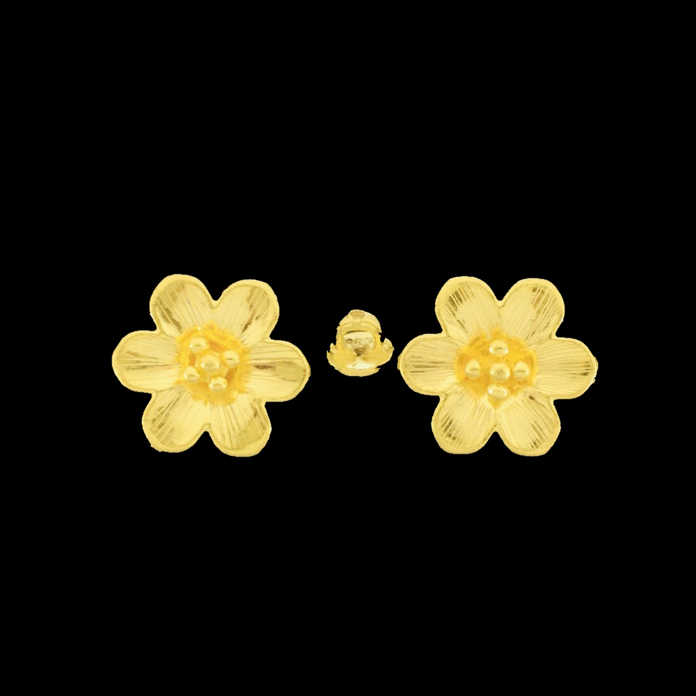 NNG5